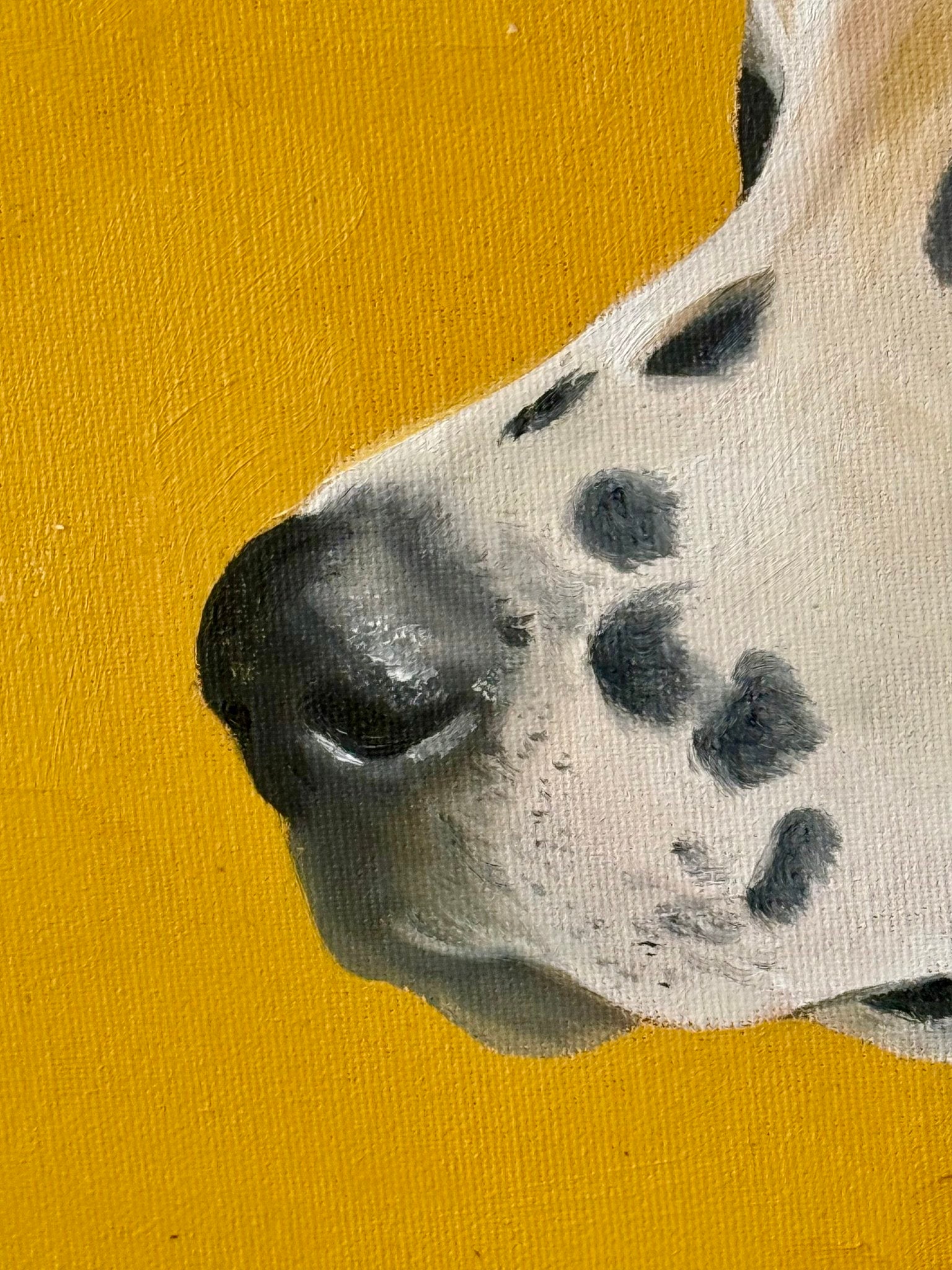 Mi mirada favorita — lámina de Nerea Amondarain